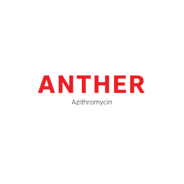 Anther